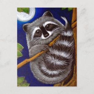 postal RACCOON