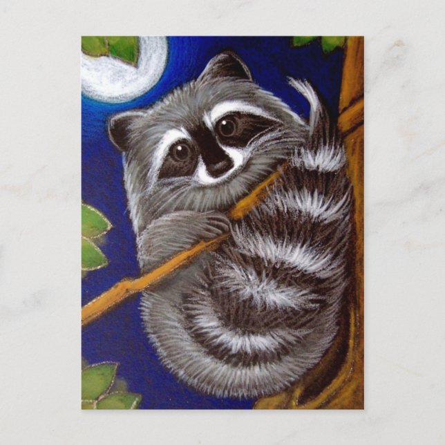 postal RACCOON (Anverso)