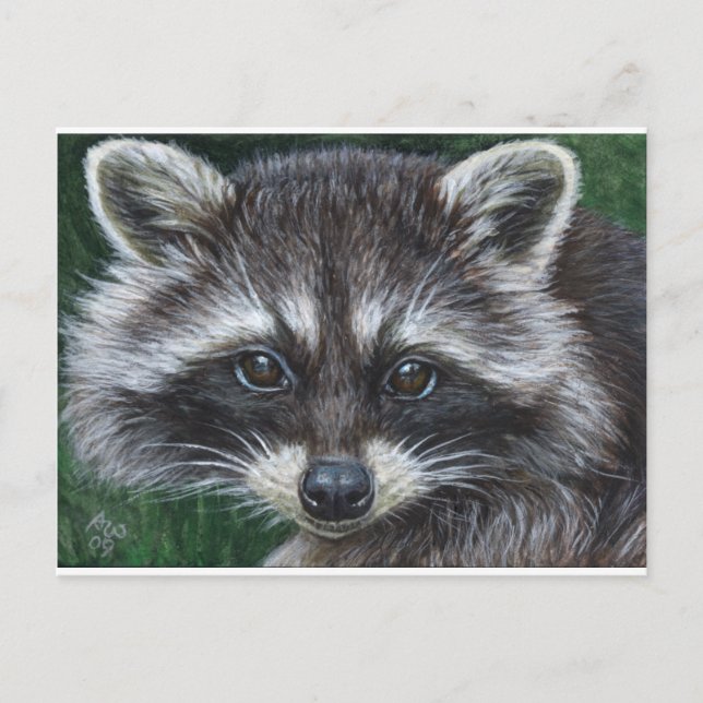 Postal Raccoon #3 (Anverso)