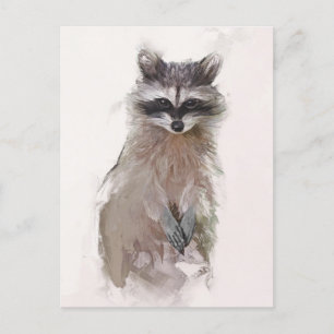Postal Raccoon Adorable