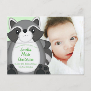 Postal Raccoon Baby Shower Woodland