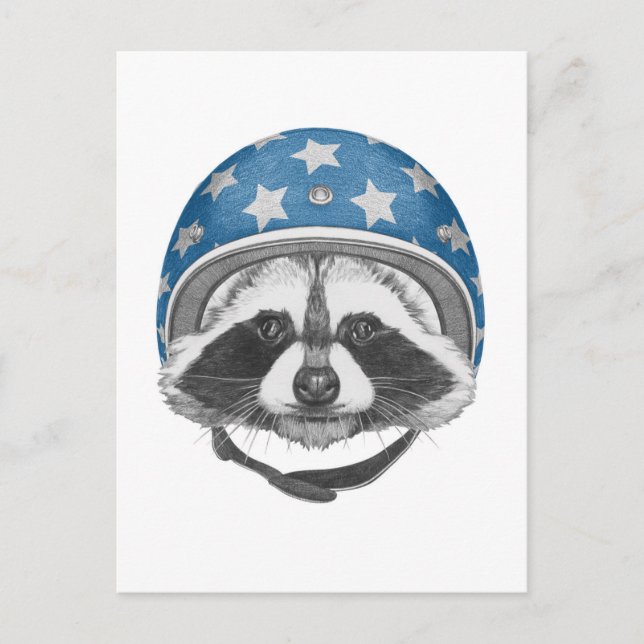 Postal Raccoon Daredevil (Anverso)