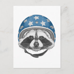 Postal Raccoon Daredevil
