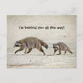 Postal Raccoon madre y bebé