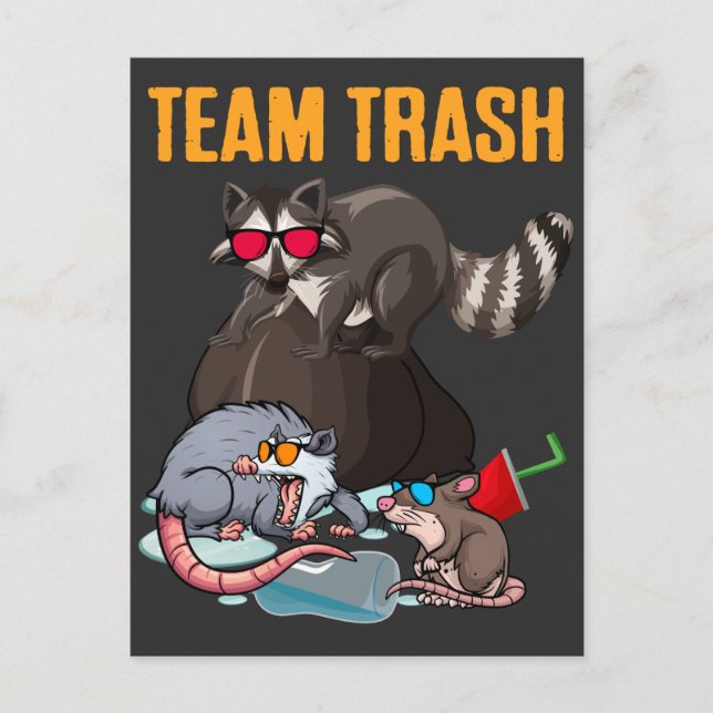 Postal Raccoon Rat Trash Panda Garbage Animal Humor (Anverso)