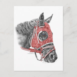 Postal Race Horse Portrait Silys