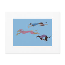 Racing Greyhounds with lead dog in Bunny suit