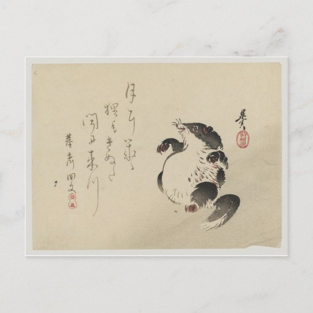 Postal Racoon-dog (Tanuki) de Shibata Zeshin (Anverso)