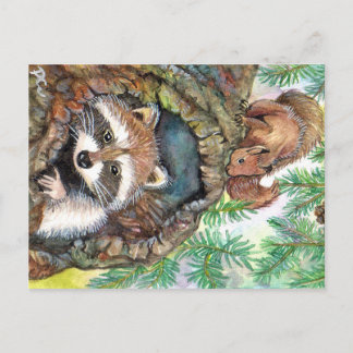 Postal Racoon En El Agujero Del Árbol Con Ardilla