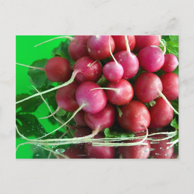 Postal Radish (Anverso)