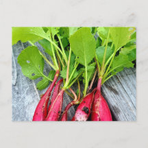 Radish del mercado de los agricultores