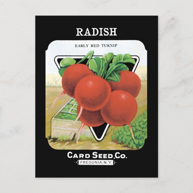 Postal Radish Seed Pack (Anverso)