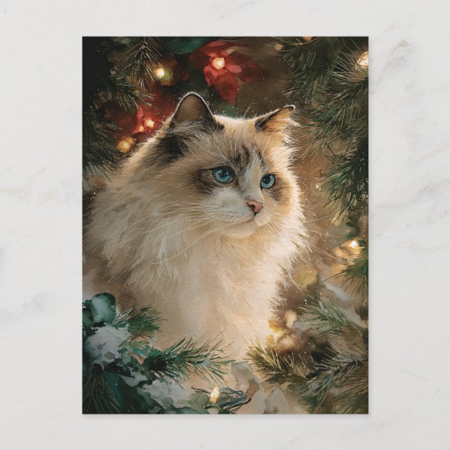 Postal Ragdoll Cat Christmas (Anverso)