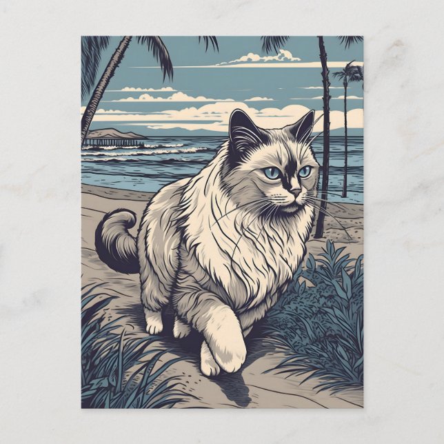 Postal Ragdoll-Cat en una playa tropical al atardecer (Anverso)