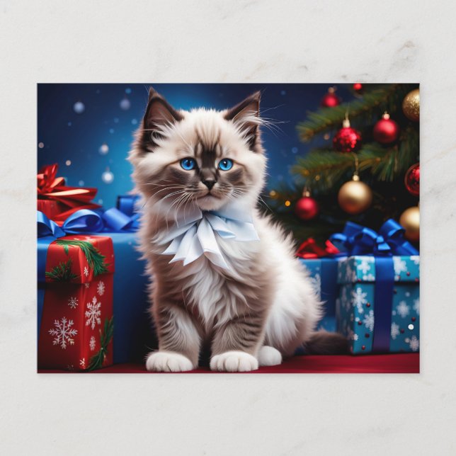 Postal Ragdoll Kitten Christmas Present (Anverso)