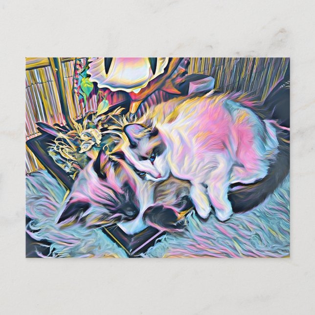 Postal Ragdoll Kittens (Anverso)