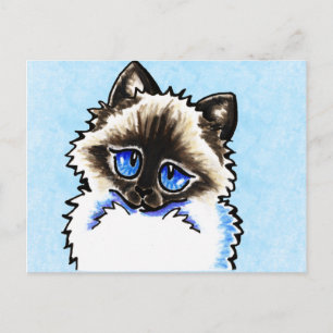 Postal Ragdoll Ragamuffin Ilustrado