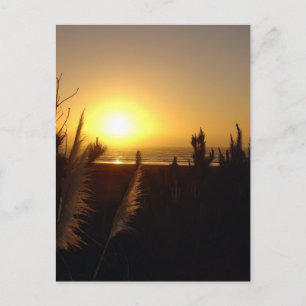 Postal Raglan Sunset