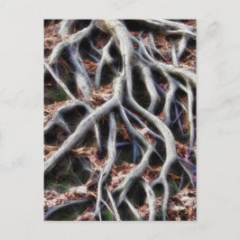 Postal Raíces de árbol de significación