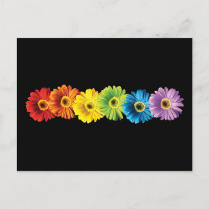 Postal Rainbow Daisies