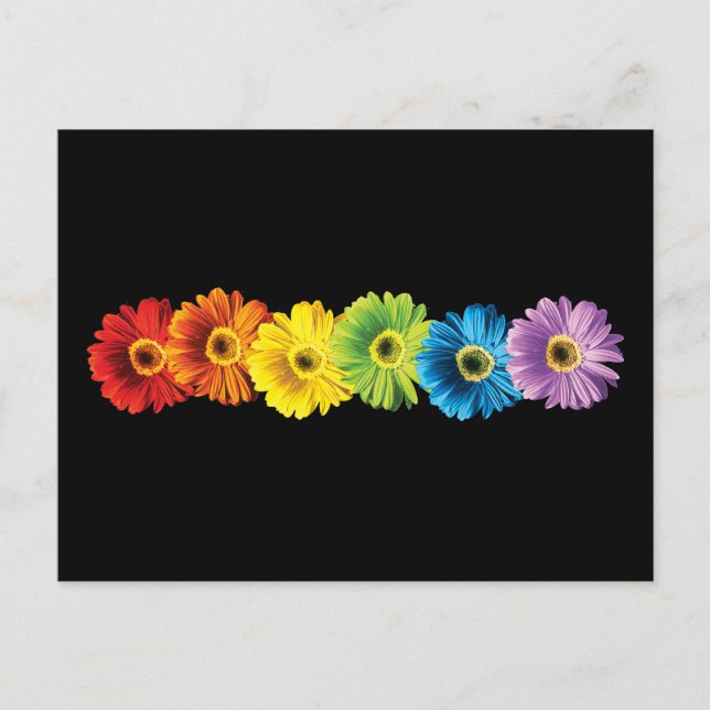 Postal Rainbow Daisies (Anverso)
