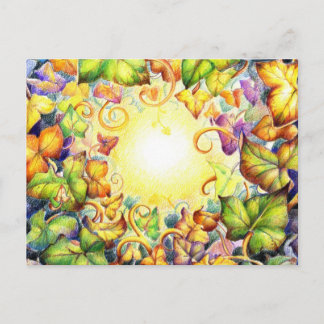 Postal Rainbow Ivy Eye