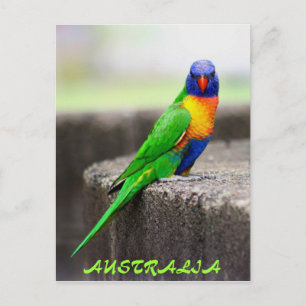 Postal Rainbow Lorikeet, AUSTRALIA
