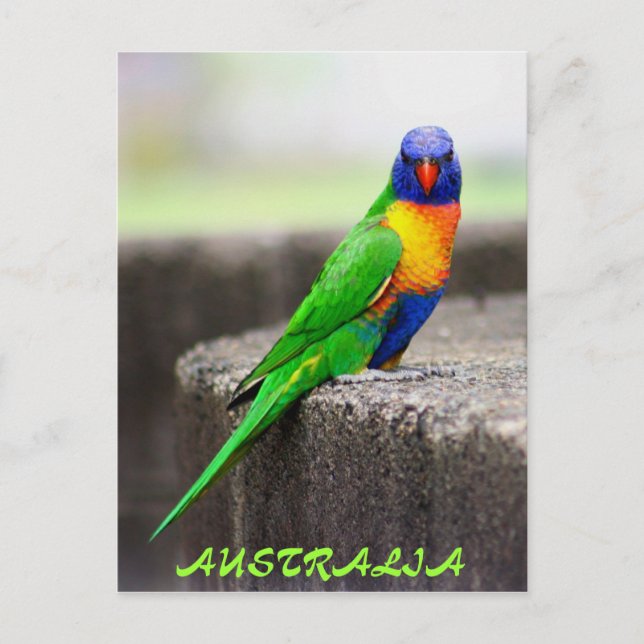Postal Rainbow Lorikeet, AUSTRALIA (Anverso)