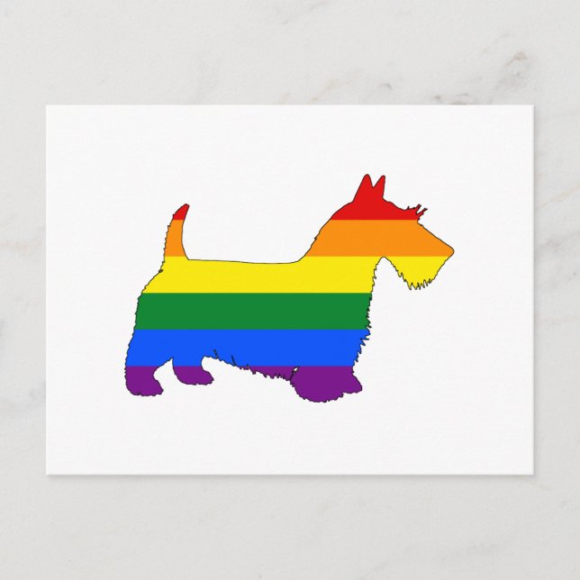Postal Rainbow Scottish Terrier (Anverso)