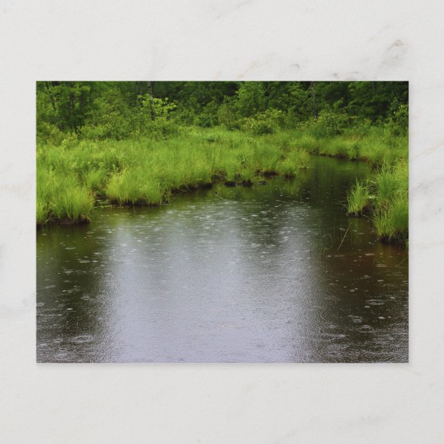 Postal Raindrops Summer 2016