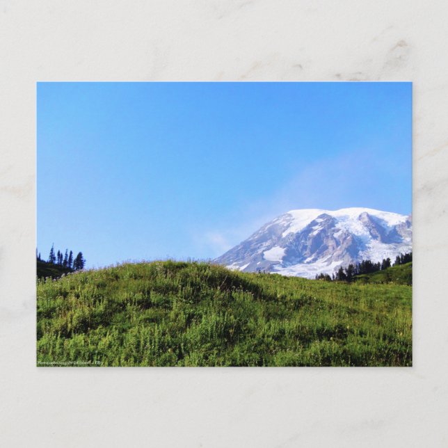 Postal Rainier PDSC230 (Anverso)