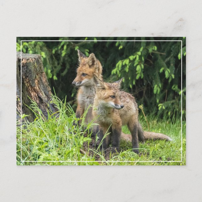 Postal Rainy Day Friends (Anverso)