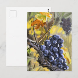 Postal Raisins sur la souche de vigne, provence.