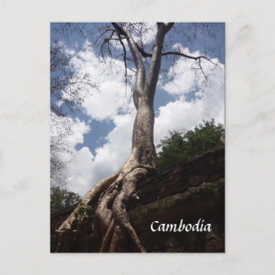 Postal raíz de árbol de ta prohm