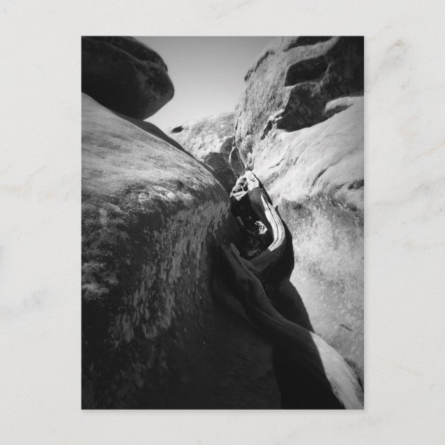 Postal Raíz de árbol en la creación (Anverso)