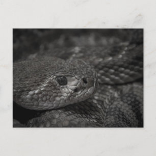 Postal Ralph el reptil