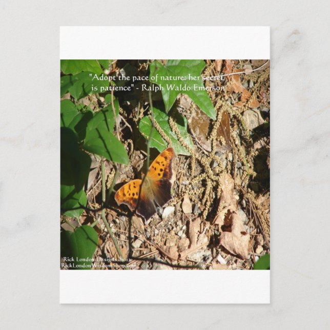 Postal Ralph W Emerson "Pace Of Nature" Wisdom Cita Regal (Anverso)