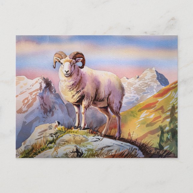 Postal Ram de ovejas en una majestuosa montaña (Anverso)