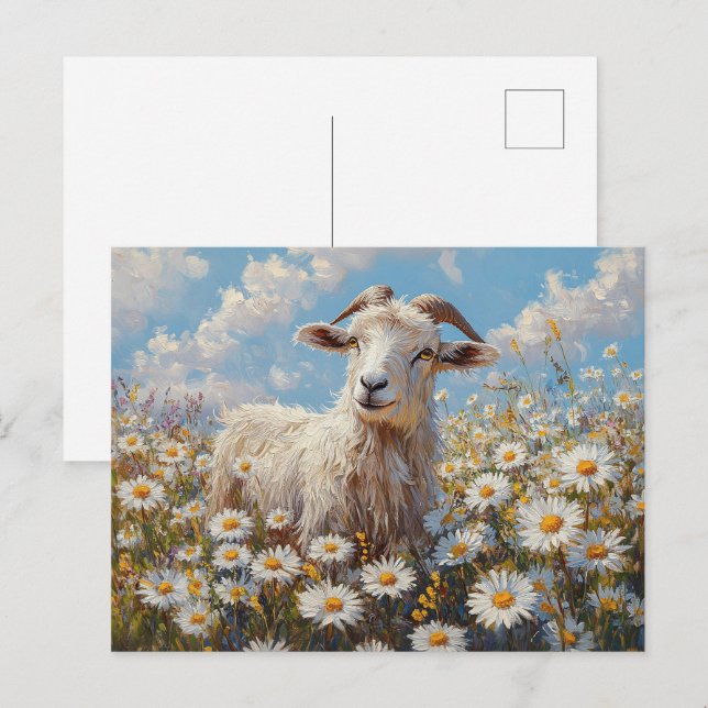 Postal Ram en una pintura de campo margarita (Anverso / Reverso)