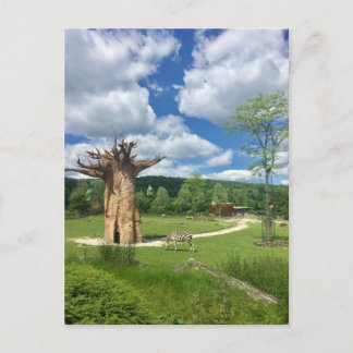 Postal Rama De Árbol Baobab Personaliza Destiny'S