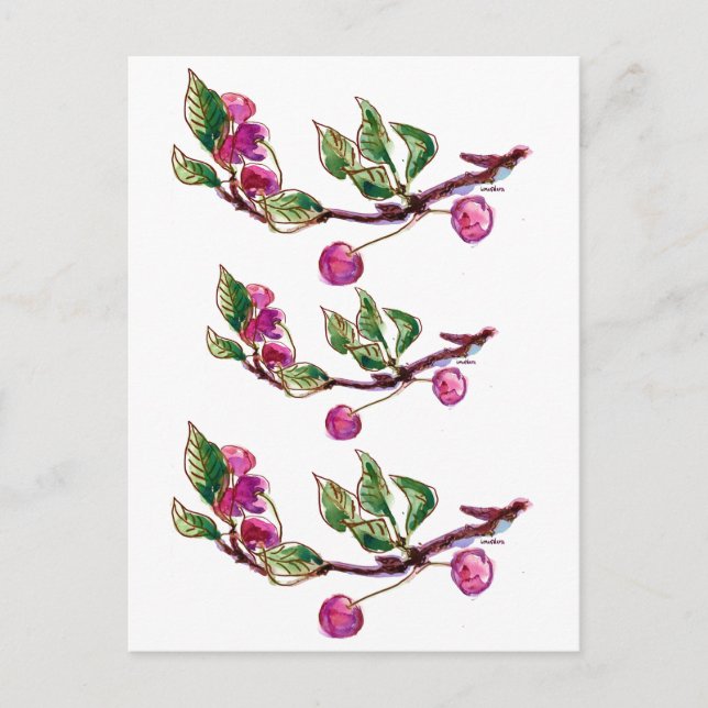 Postal Rama de cerezas (Anverso)