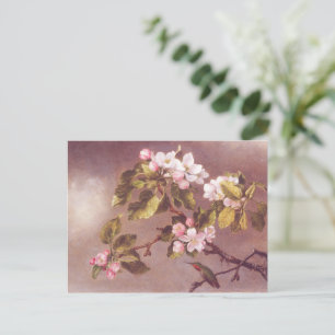 Postal Rama de flor de cerezo
