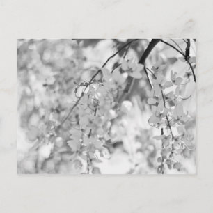 Postal Rama de flores en blanco y negro