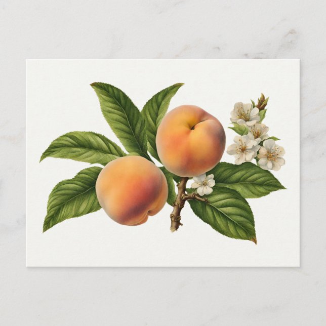 Postal Rama de fruta de cuchara con flores (Anverso)