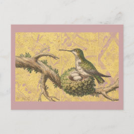 Postal Rama de huevos de nido de colibrí verde