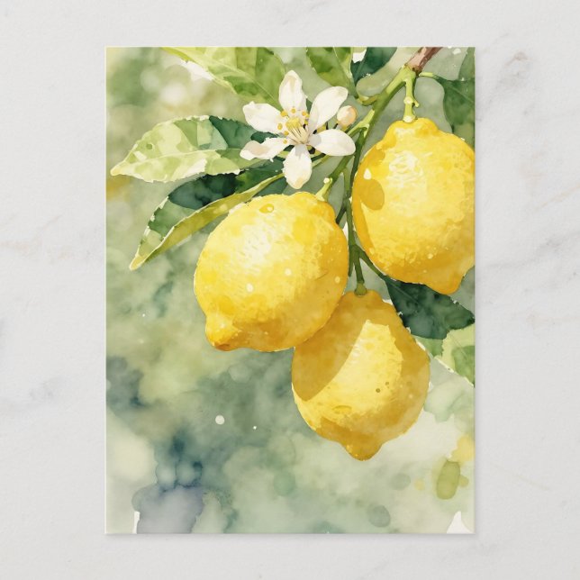 Postal Rama de limón acuarela botánica verano (Anverso)