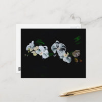 Rama de orquídeas blancas