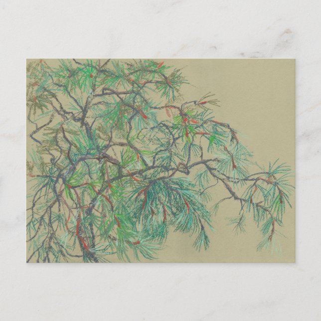 Postal Rama de pinos, arte floral Botánica Norte Verde (Anverso)