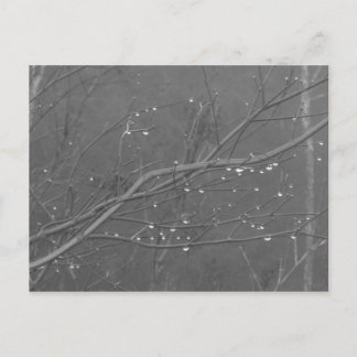 Postal Rama en la lluvia