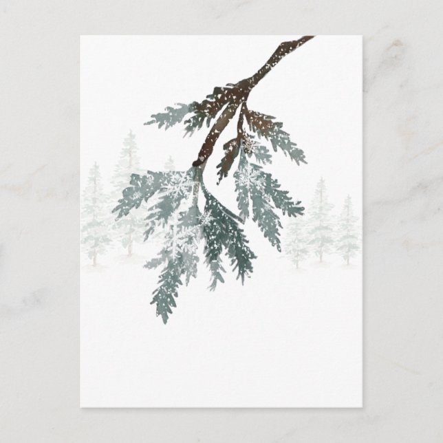 Postal Rama Snowy Blue Spruce Branch Winter Woodland Scen (Anverso)